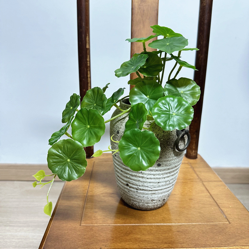 2pcs Artificial Pilea Peperomi - đánh giá và giá Pilea Peperomioides