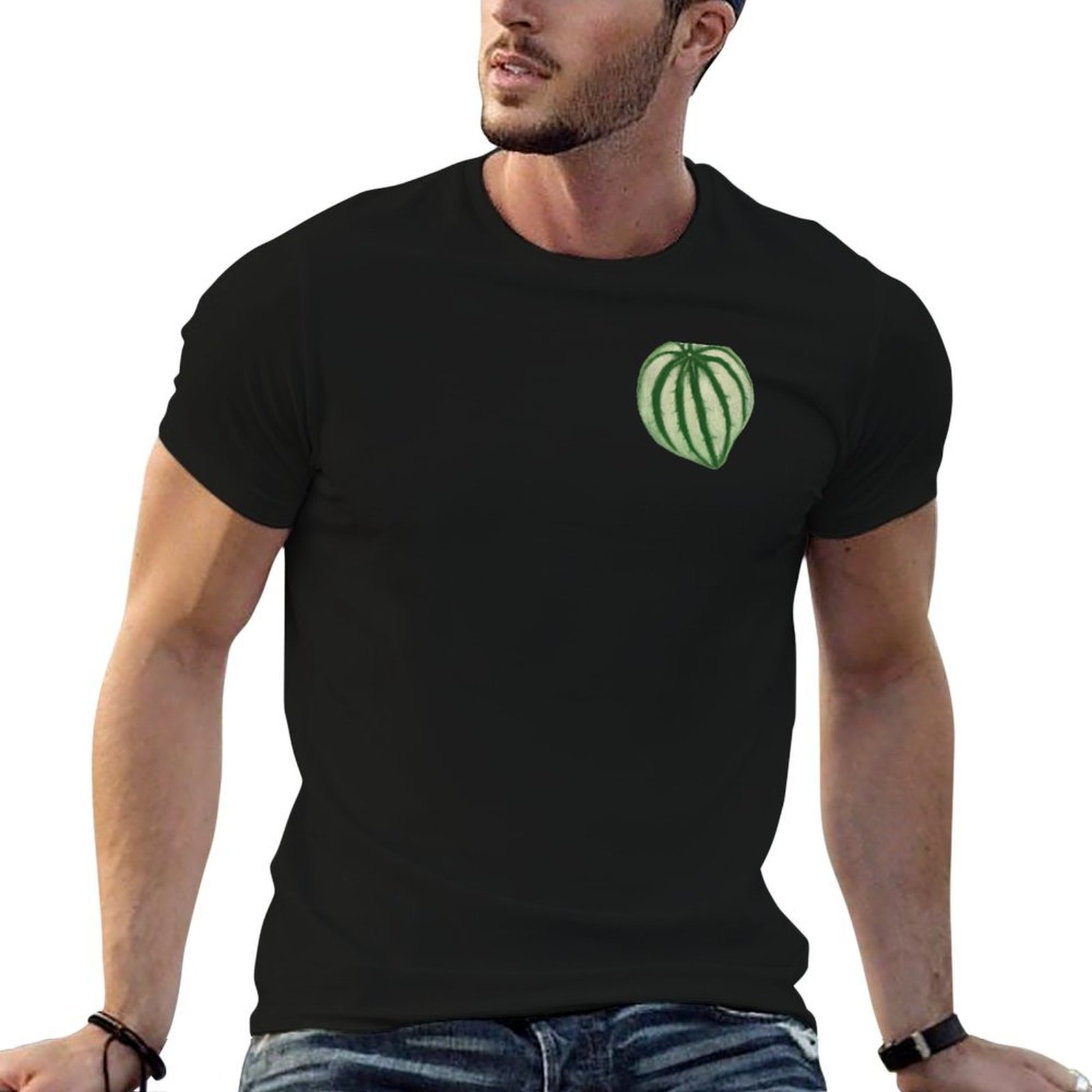 Watermelon Peperomia T-Shirt a - đánh giá và giá Peperomia Watermelon